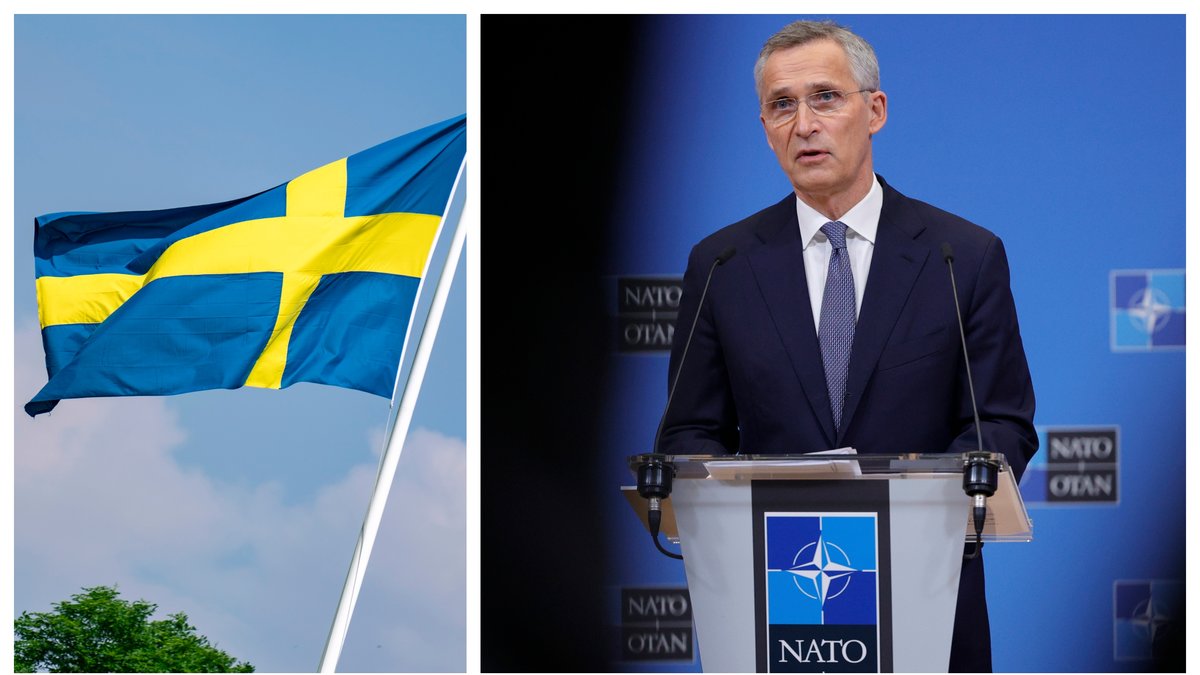 Vad skulle ett Natomedlemskap innebära för svensk del?